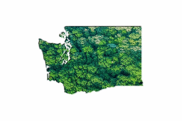 Mapa da floresta verde de Washington, sobre fundo branco