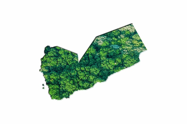 Mapa da Floresta Verde do Iêmen, sobre fundo branco