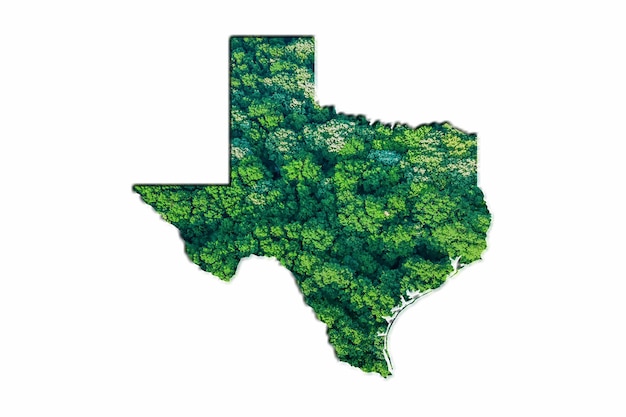 Mapa da floresta verde do Texas, sobre fundo branco