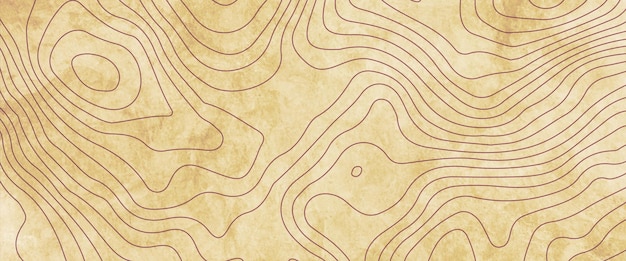 Mapa de contorno de linha superior fundo mapa de grade geográfica