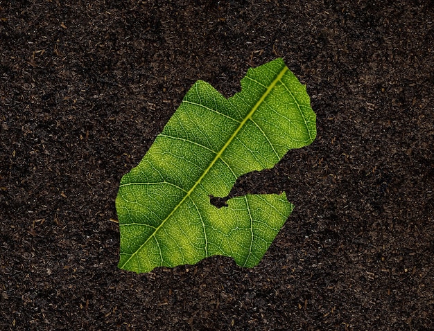 Mapa de Djibuti feito de folhas verdes no conceito de ecologia de fundo do solo