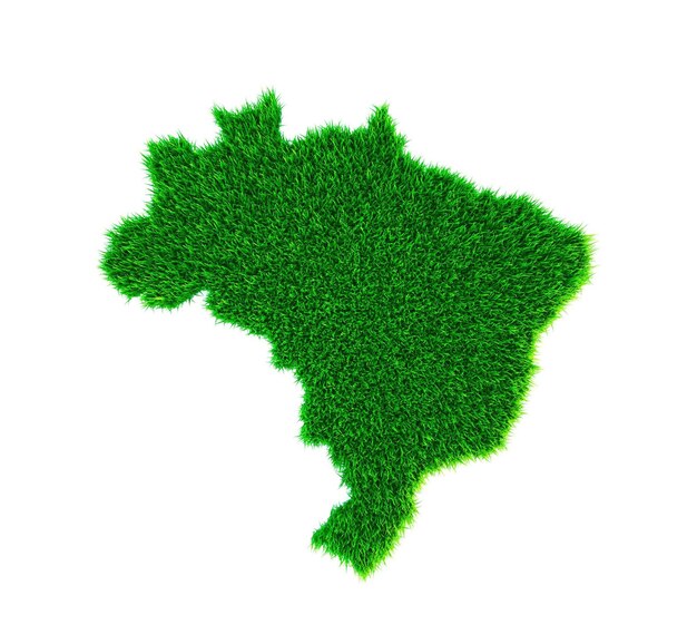 Foto mapa de grama do brasil com fundo branco