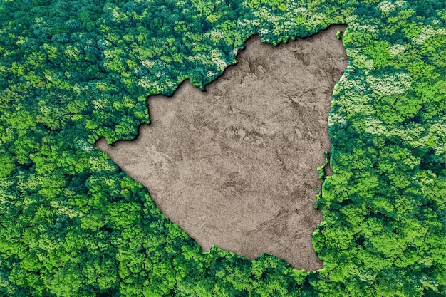 Mapa de habitat sustentável da Nicarágua, conceito de meio ambiente