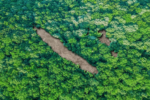 Mapa de habitat sustentável da Nova Caledônia, conceito de meio ambiente