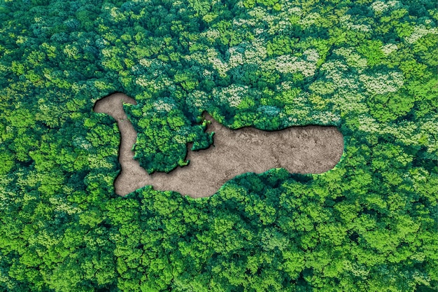 Mapa de habitat sustentável das Ilhas Cayman, conceito de meio ambiente