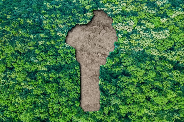 Mapa de habitat sustentável do benim, conceito de meio ambiente