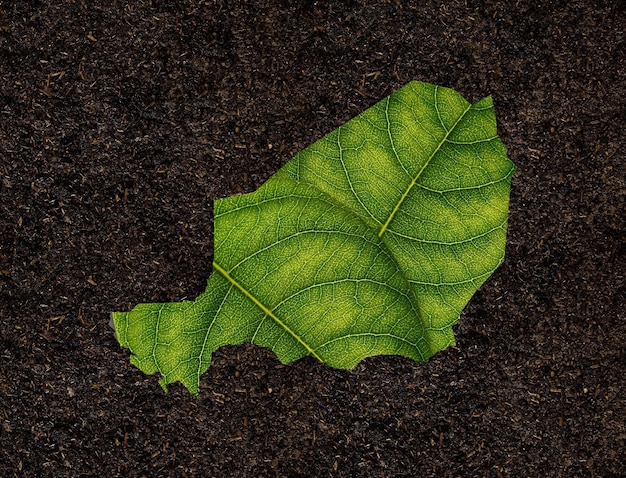 Mapa do Níger feito de folhas verdes no conceito de ecologia de fundo do solo