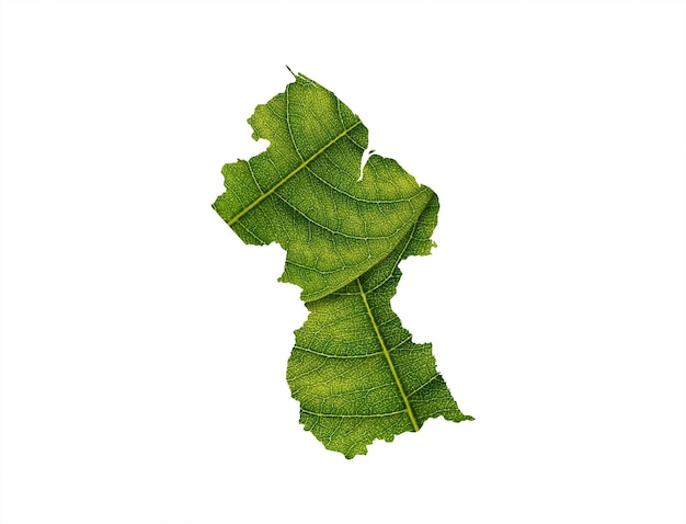 Mapa de Guyana hecho de hojas verdes sobre el concepto de ecología de fondo del suelo