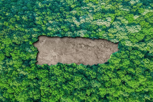 Foto mapa de hábitat sostenible de puerto rico, concepto de medio ambiente