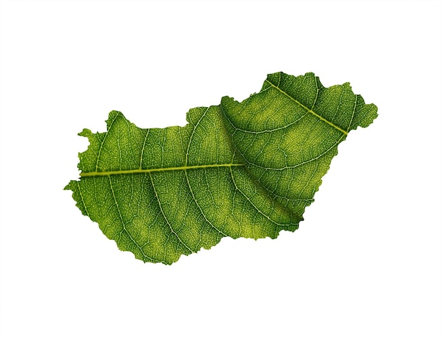 Mapa de Hungría hecho de hojas verdes sobre el concepto de ecología de fondo del suelo