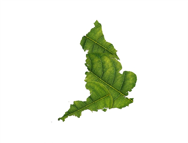 Mapa de Inglaterra hecho de hojas verdes sobre el concepto de ecología de fondo del suelo