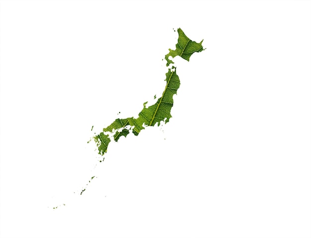 Mapa de Japón hecho de hojas verdes sobre el concepto de ecología de fondo del suelo