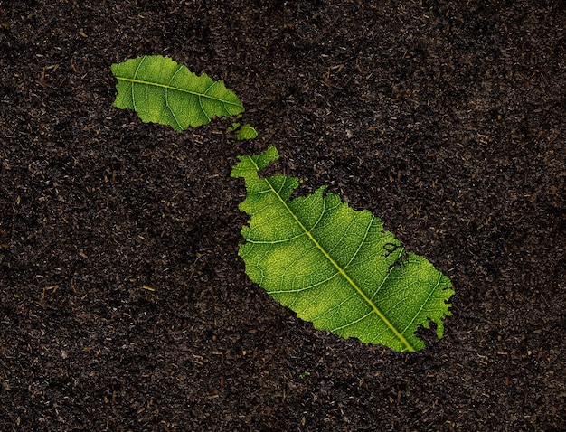 Mapa de Malta hecho de hojas verdes sobre el concepto de ecología de fondo del suelo