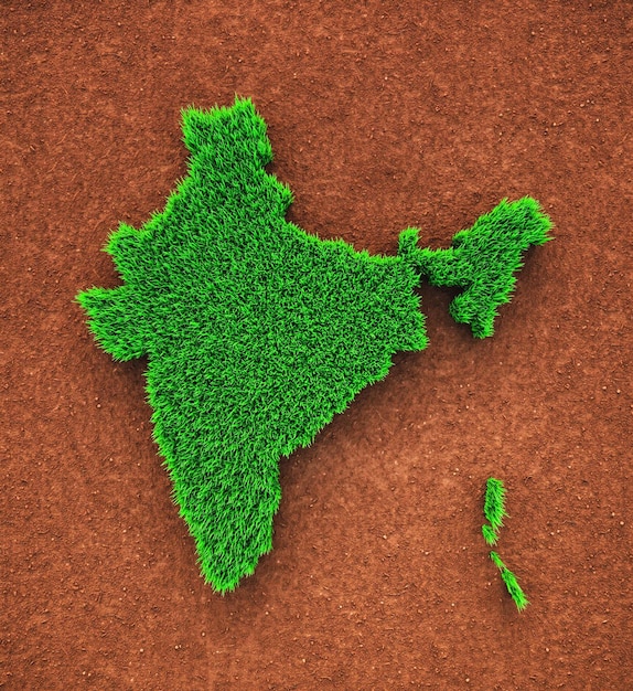Mapa de la naturaleza de la hierba de la India
