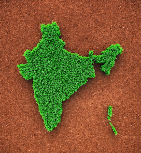 Foto mapa de la naturaleza de la hierba de la india