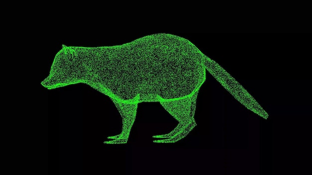 Mapache 3D en negro bg lindo mapache divertido Concepto de animales salvajes Protección del medio ambiente Para la presentación del texto del título animación 3d