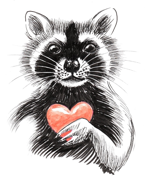 Mapache con corazón. Dibujo a tinta y acuarela