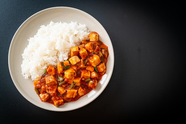 Mapo Tofu - Das traditionelle Sichuan-Gericht aus Seidentofu und Rinderhackfleisch, vollgepackt mit Mala-Geschmack aus Chiliöl und Sichuan-Pfefferkörnern - Asiatische Küche