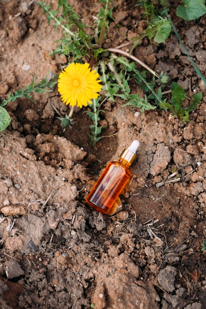 maqueta de botella con gotero sobre fondo de naturaleza