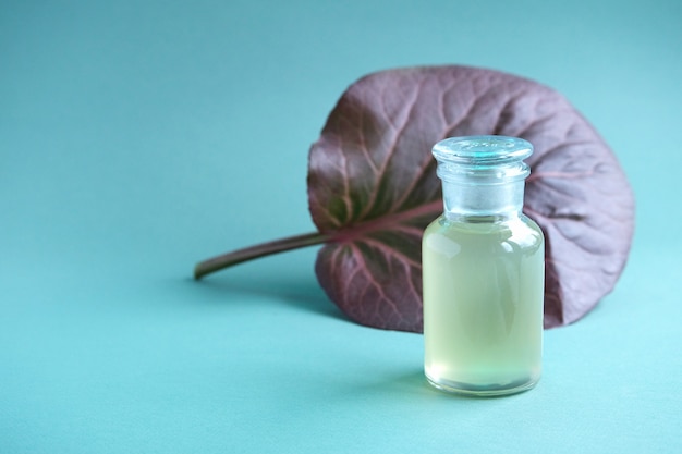 Maqueta de botella de vidrio cosmético y gran hoja marrón de Badan (bergenia crassifolia) detrás de él sobre fondo turquesa de moda. Aceite corporal natural, champú, jabón.