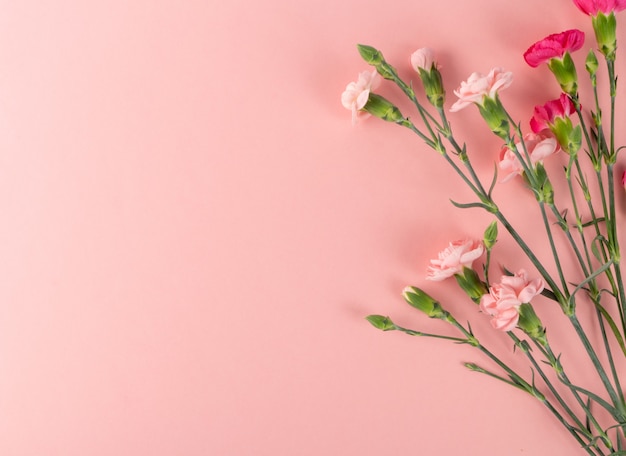 Maqueta de flor de clavel fresco