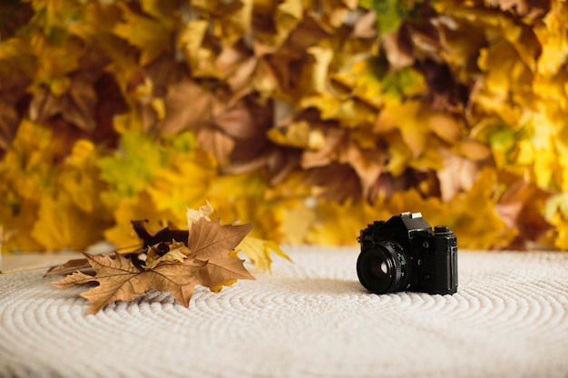 Maqueta de fondo de hojas de otoño con cámara de fotos