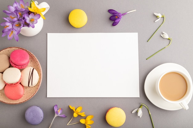 maqueta de hoja de papel blanco con flores de azafrán de campanillas y macarrones sobre fondo gris pastel.