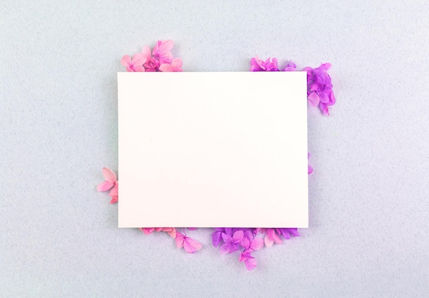 Maqueta de invitación floral con invitación en blanco o primavera de tarjeta de felicitación y composición fresca plana y foto de vista superior