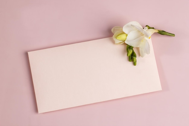 Foto maqueta de invitación o tarjeta de felicitación con sobre y flor de fresia sobre fondo rosa suave