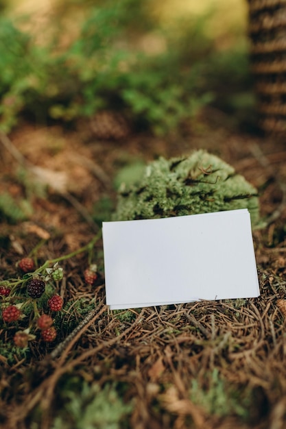 maqueta de invitación o tarjeta de felicitación sobre un fondo natural en el bosque, maqueta de papel en un bosque b