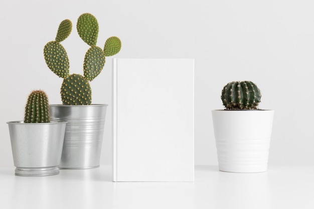 Maqueta de libro blanco con varios tipos de cactus en una mesa blanca