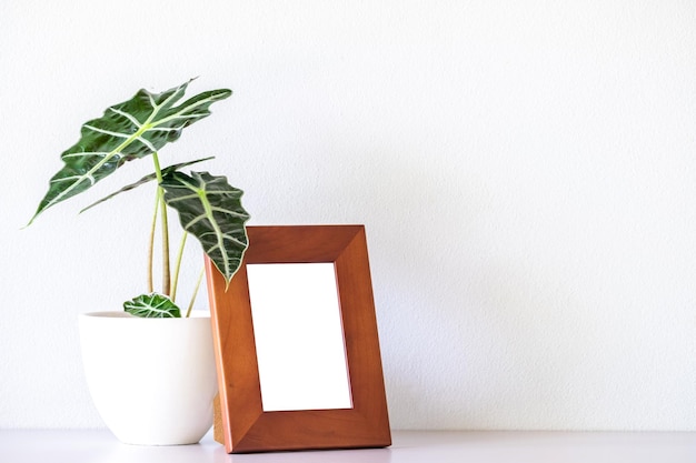 Maqueta de marco de fotos de escritorio de madera moderna marrón y Alocasia sanderiana Bull o Alocasia Plant sobre mesa blanca y fondo de pared blanca