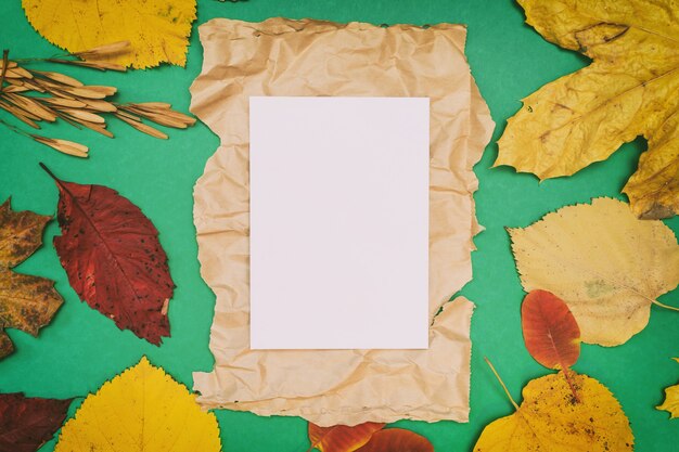 Maqueta de otoño con hojas amarillas y rojas. Conos de abeto y una hoja blanca de papel para la inscripción.