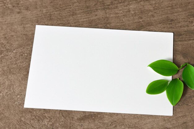 Foto una maqueta de papel blanco armoniosamente adornado con una hoja fresca que revela una fusión delicada
