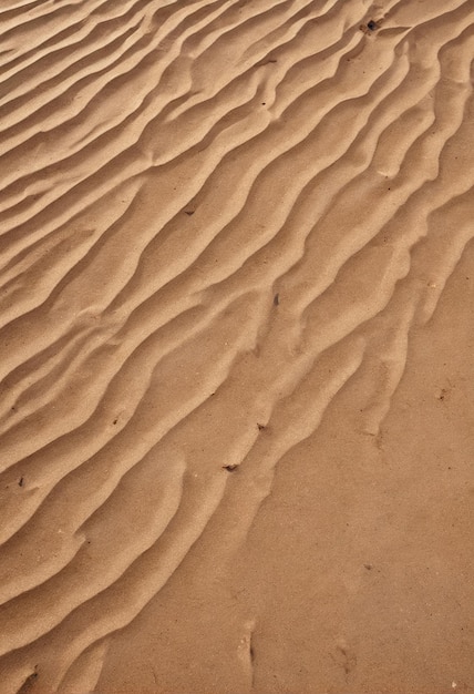 Maqueta de playa de fondo una duna de arena en el desierto del Sáhara