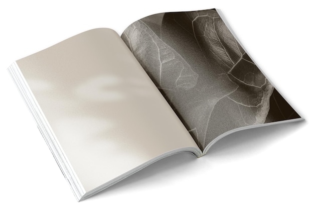 Maqueta de revista Png en un fondo transparente