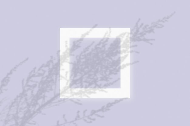 Maqueta con sombras vegetales superpuestas sobre un marco cuadrado de papel blanco texturizado sobre un fondo de mesa violeta.