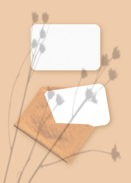 Maqueta con una superposición de sombras de plantas en un sobre con dos hojas de papel blanco texturizado sobre un fondo de mesa beige. Orientación vertical.