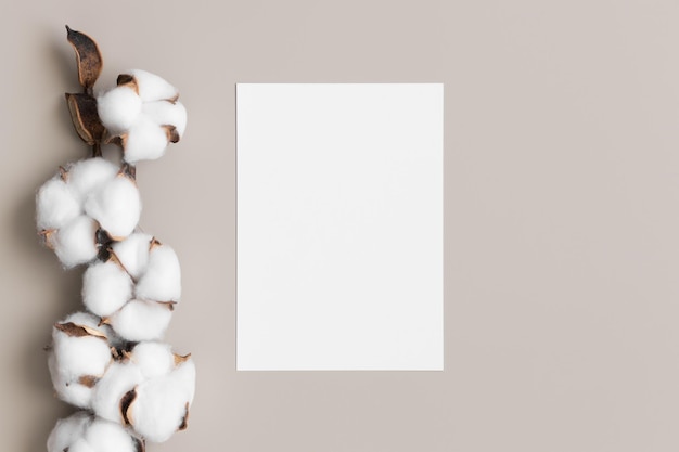 Foto maqueta de tarjeta blanca de invitación con una rama de algodón seco de 5x7 similar a a6 a5