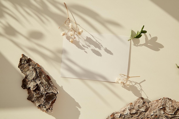 Maqueta de tarjeta de papelería minimalista entre corteza de árbol Diseño estético bajo sombras soleadas con gypsophila Concepto de nueva vida cero desperdicio estilo de vida sostenible y ecológico