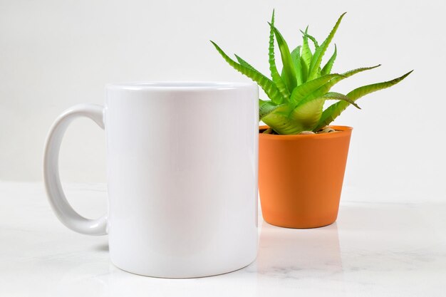 Maqueta de Taza de Café de 11 oz con Planta de Aloe Vera