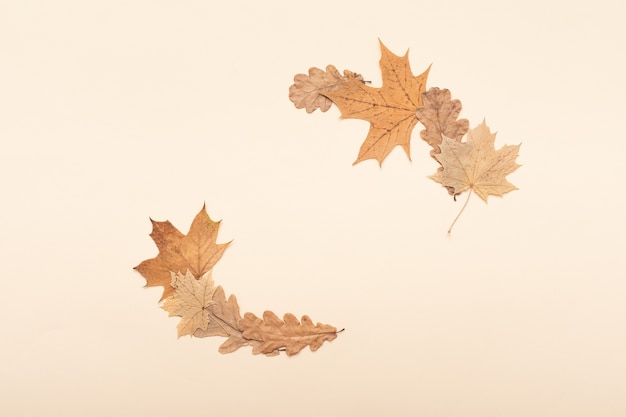 Maqueta vintage, fondo de arreglo de hojas de borde. Lay Flat de otoño. Concepto de temporada de otoño. Composición flatlay de acción de gracias.