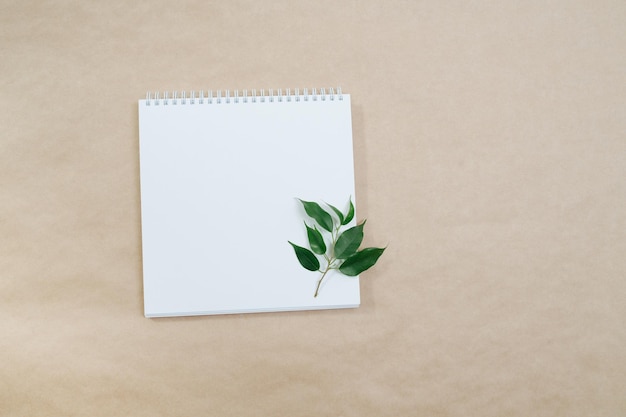 Maquete de caderno quadrado com galho de folhas no topo Sobre fundo de papel pardo