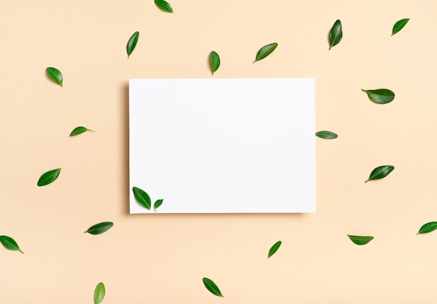 Maquete de cartão branco de convite quadrado com folhas bege amarelas claras de buxo