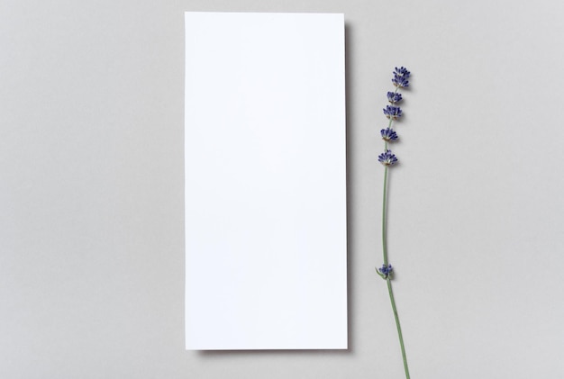 Maquete de cartão branco de convite retangular vertical ou quadrado com um ramo de lavanda de flores