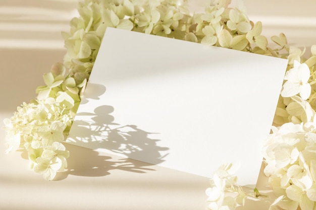 Maquete de cartão de convite com flores de hortênsia em fundo pastel bege Modelo em branco de papel branco simulado para branding e publicidade Vista superior espaço de cópia plana leiga
