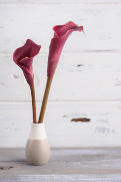 Maquete de fundo de madeira com roxo calla lilly