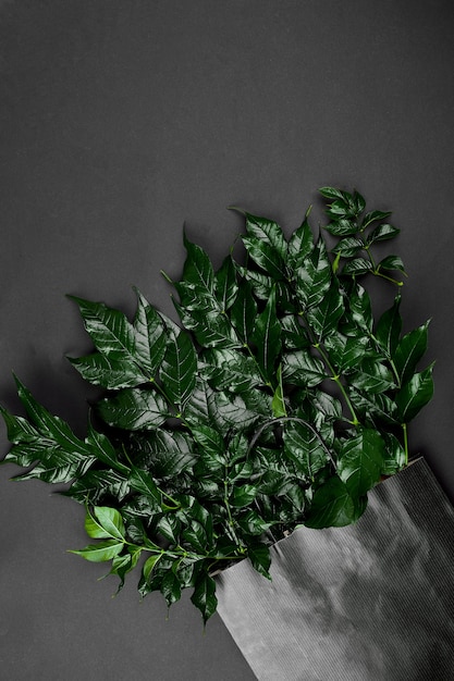 Maquete de sacola de compras preta em um fundo escuro com folhas verdes, plana, espaço para texto, vista superior