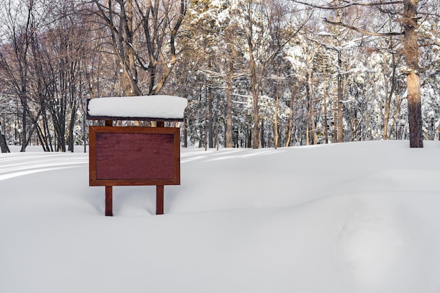 Maquete de tela de outdoor de inverno na floresta