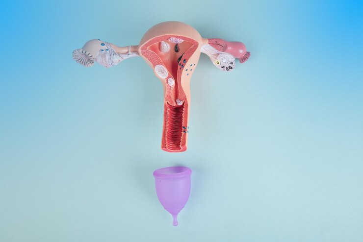 Foto maquete do sistema reprodutivo feminino e copo menstrual rosa sobre fundo azul conceito de uma novidade de uma tigela vaginal médica para descarga durante a menstruação em uma menina